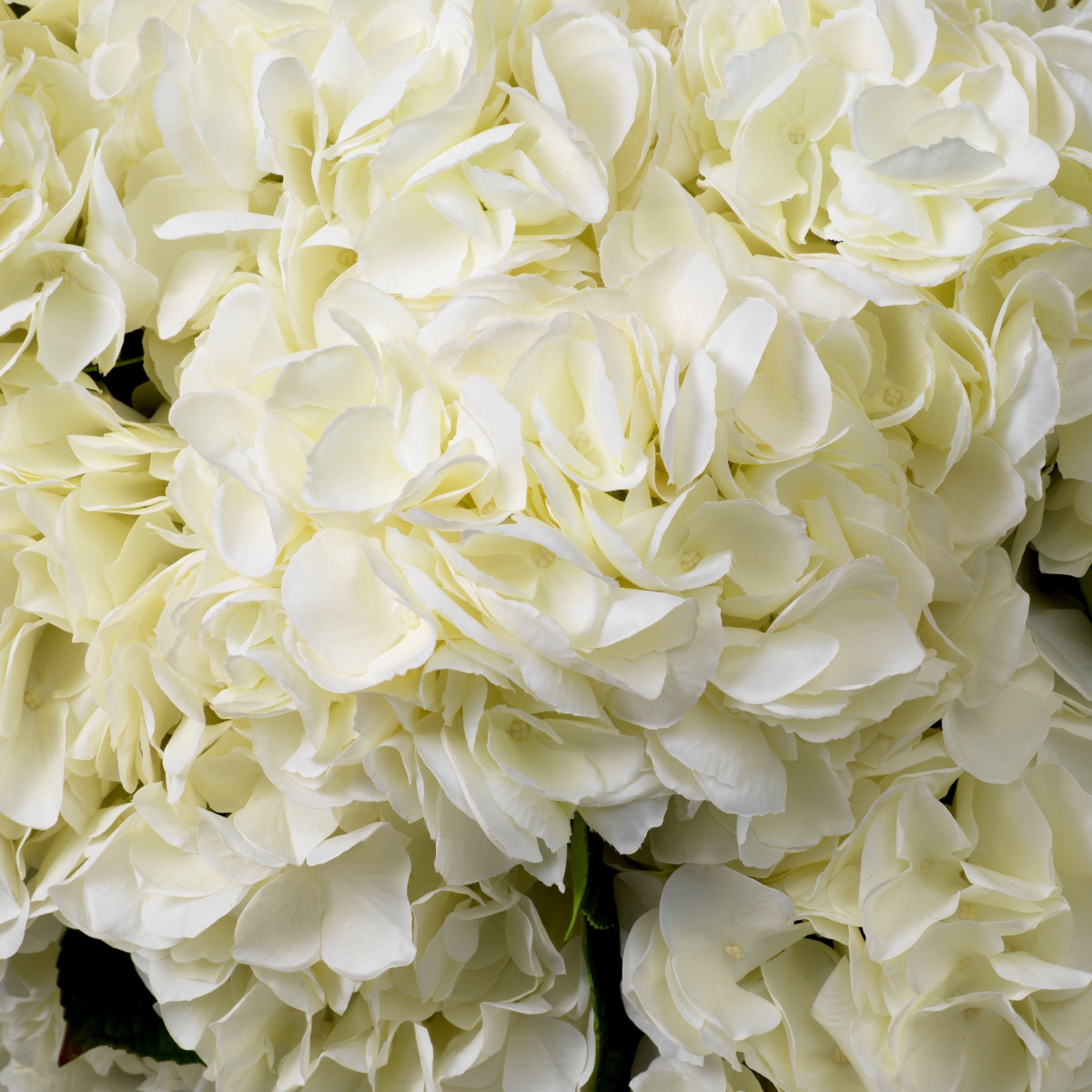 Искусственная зелень Hydrangeas, фото 3