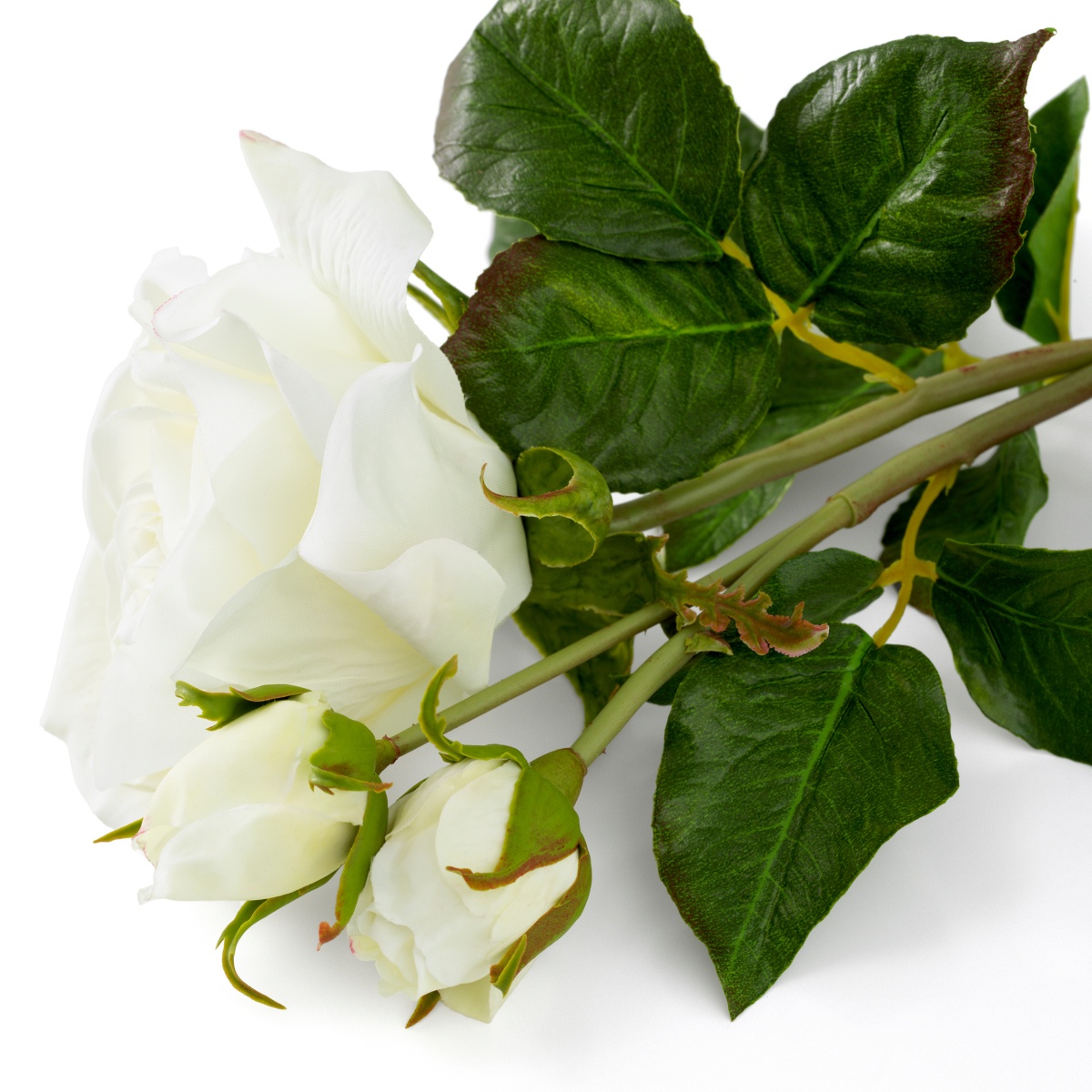 Искусственная зелень Roses, фото 5