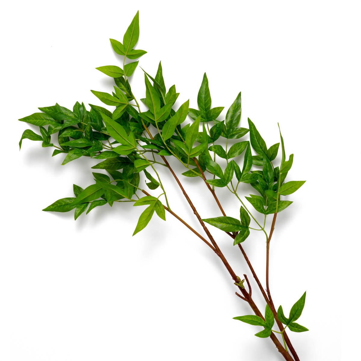 Искусственная зелень Tender Leaves, фото 3